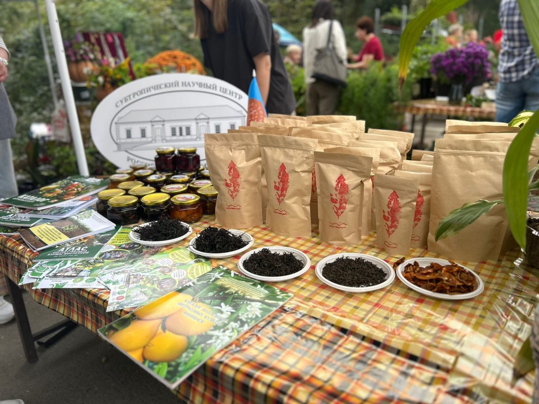 Сельское хозяйство Сочи может вырасти почти в 40 раз к 2035 году