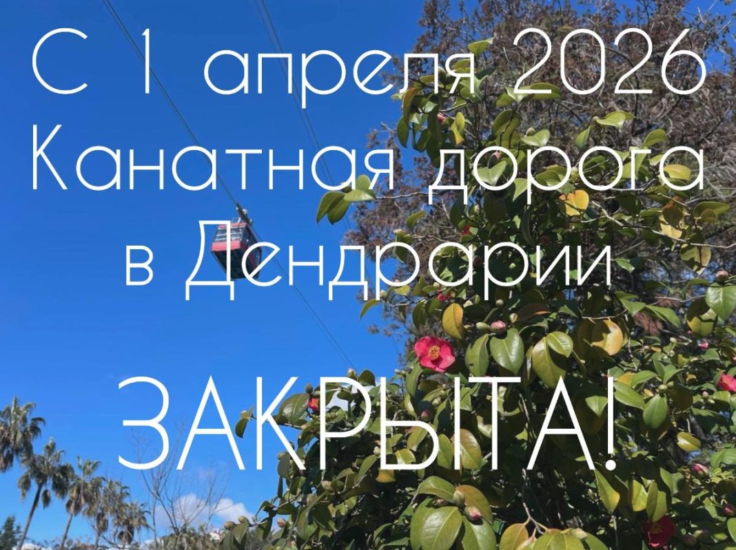 Канатную дорогу в сочинском Дендрарии закроют на техническое обслуживание с 1 апреля