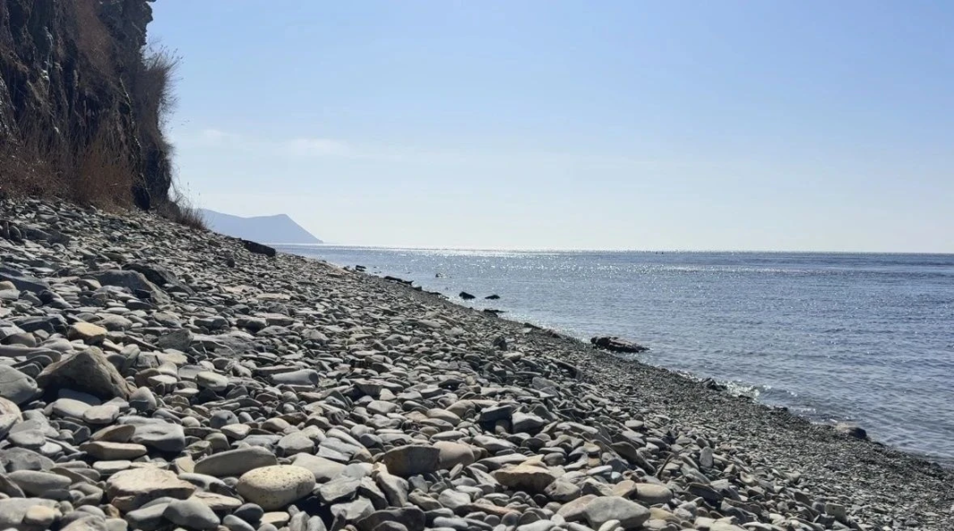 Восемь пляжей в Анапе официально признаны безопасными и готовятся к приему туристов