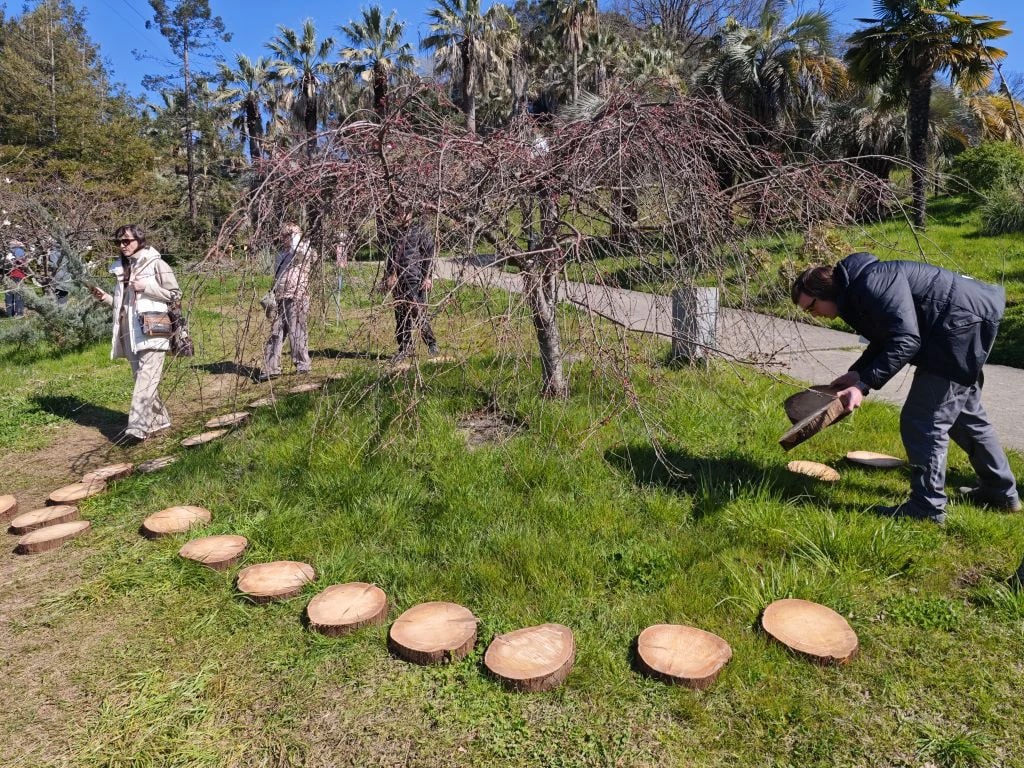 Ураганное дерево пошло на благо: в сочинском Дендрарии появились ароматные настилы