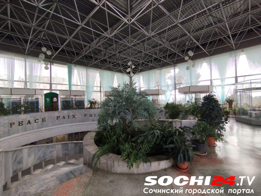 450 млн рублей собираются потратить на ремонт сочинского музея «Дерево Дружбы»