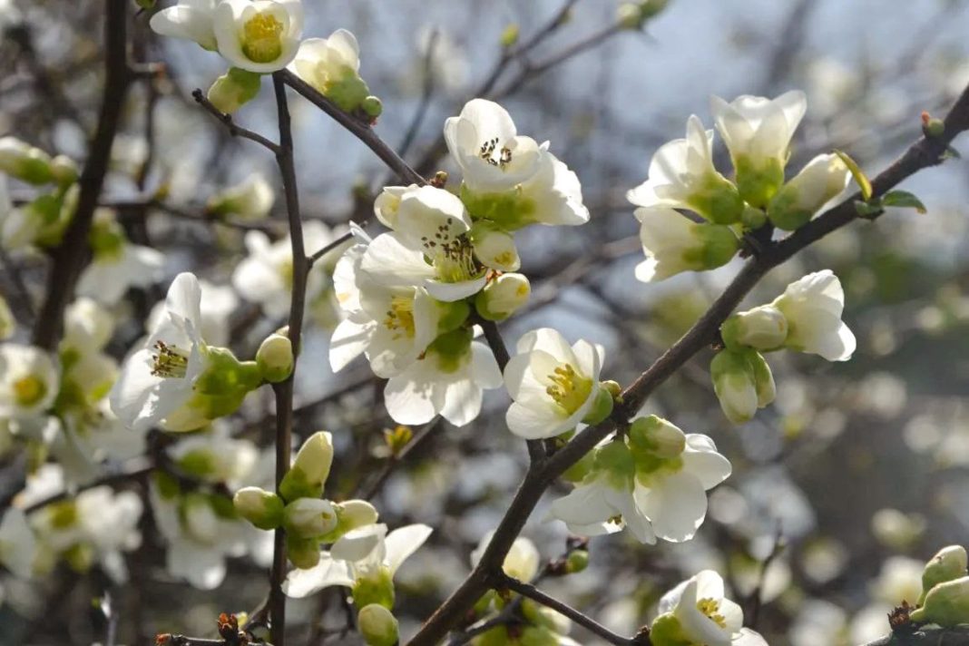В Сочи отменили угрозу атаки беспилотников