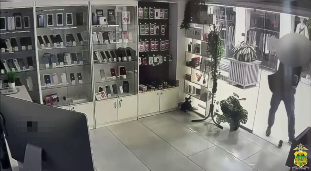 Три магазина, 17 телефонов: рецидивист обчистил три комиссионки в Адлерском районе Сочи