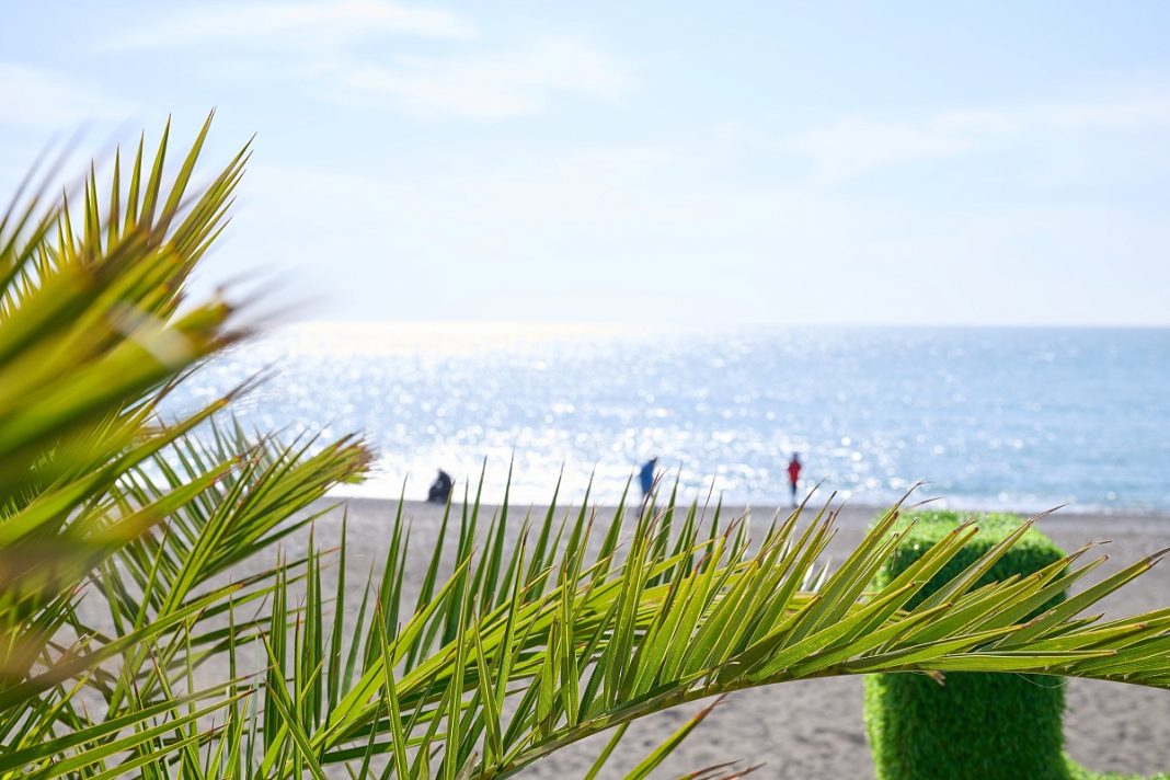 Больше 300 тысяч человек посещают зимние пляжи Сочи ежемесячно