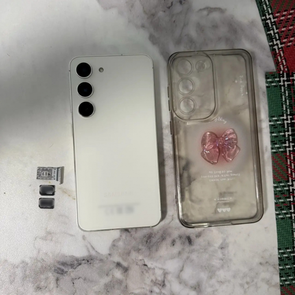 В Сочи задержали мужчину, подозреваемого в краже телефона у сотрудницы аэропорта