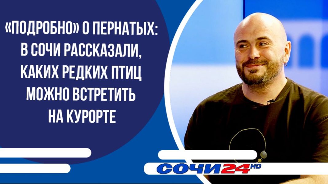 Каких редких птиц можно встретить в Сочи | ПОДРОБНО