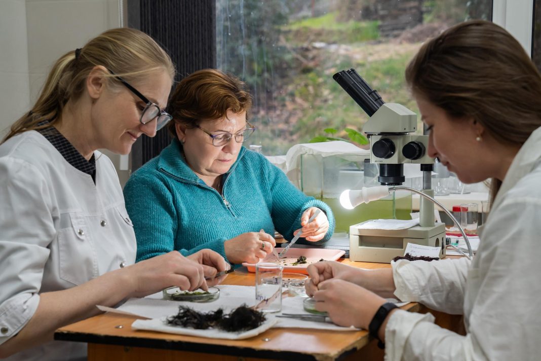 Ученые Сочи предложили искать мазут по редкоземельным следам в водорослях