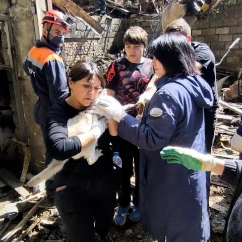 Кошку достали из-под обломков, а девочку — нет: спасатели из Туапсе и Сочи продолжают разбирать завалы
