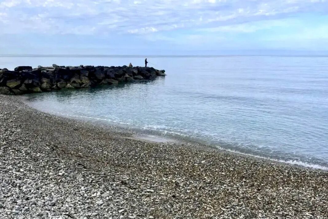 Андрей Прошунин: акватория Сочи остаётся чистой, ситуация на пляжах — под полным контролем Андрей Прошунин: акватория Сочи остаётся чистой, ситуация на пляжах — под полным контролем