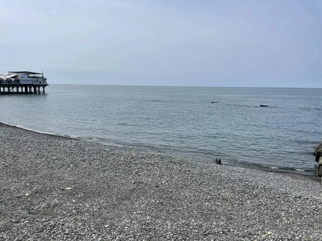 В Сочи подтвердили чистоту морской воды и пляжей В Сочи подтвердили чистоту морской воды и пляжей