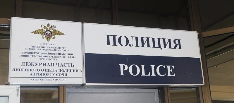 Жительница Ногинска украла детскую сумку в аэропорту Сочи