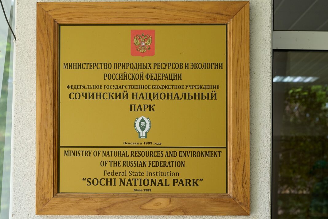 Почти 11 тысяч незаконно выбывших участков: ученые начали возвращение земель Сочинскому нацпарку Почти 11 тысяч незаконно выбывших участков: ученые начали возвращение земель Сочинскому нацпарку