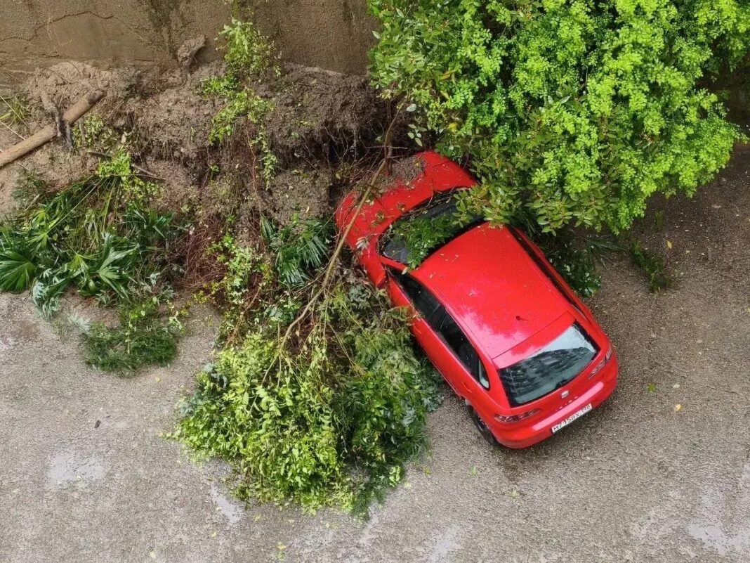 В Сочи оползень с подпорной стены сошел на припаркованный автомобиль В Сочи оползень с подпорной стены сошел на припаркованный автомобиль