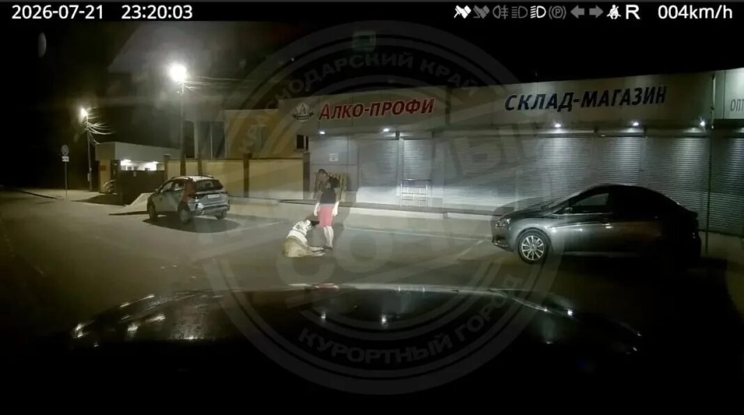 В Дагомысе полиция проводит проверку после нападения алабая на таксу В Дагомысе полиция проводит проверку после нападения алабая на таксу