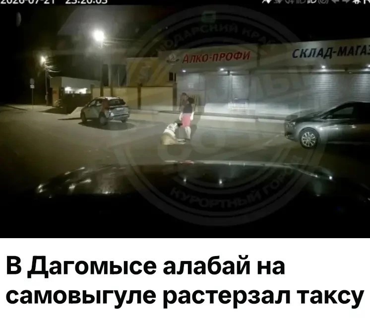В Дагомысе полиция проводит проверку после нападения алабая на таксу В Дагомысе полиция проводит проверку после нападения алабая на таксу