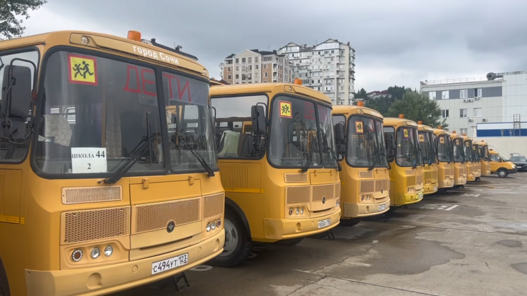 Перед учебным годом в Сочи проверяют автобусы для перевозки школьников Перед учебным годом в Сочи проверяют автобусы для перевозки школьников