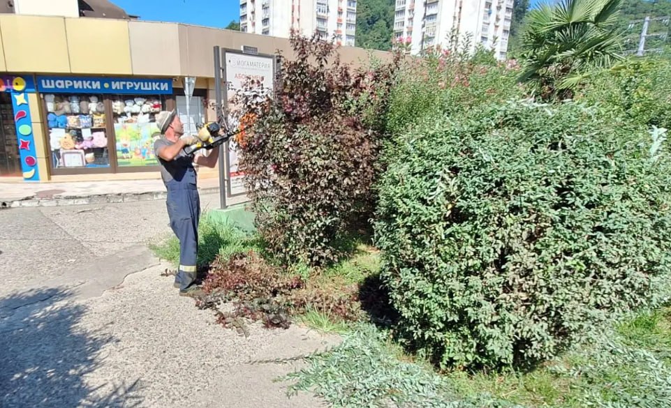 В Лазаревском районе Сочи продолжаются работы по благоустройству и уборке территорий В Лазаревском районе Сочи продолжаются работы по благоустройству и уборке территорий