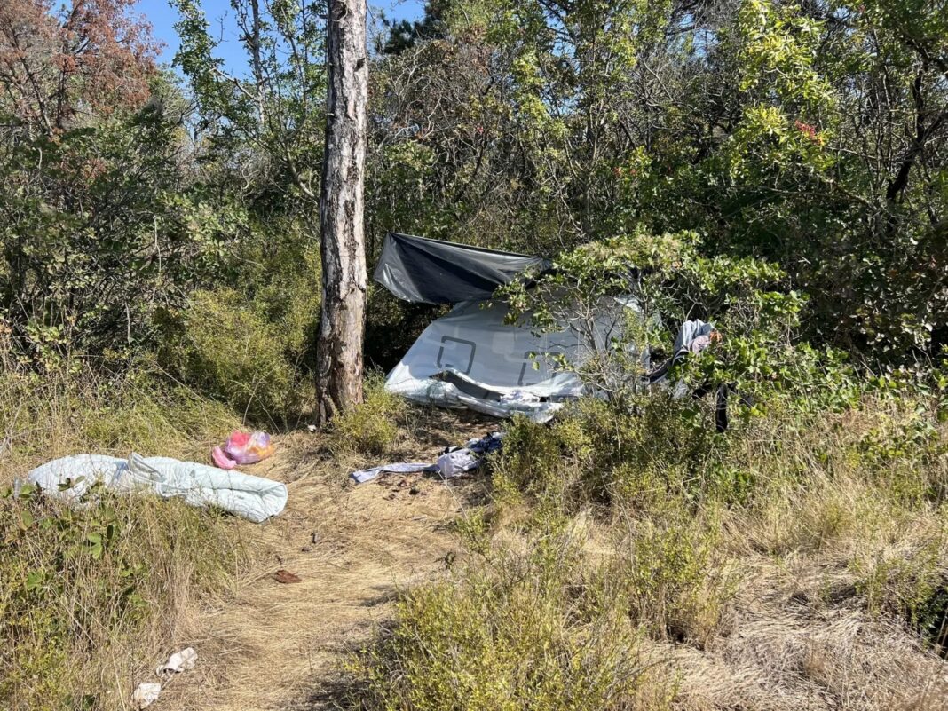 СК: приезжий из Сочи зарубил топором севастопольца в лесополосе СК: приезжий из Сочи зарубил топором севастопольца в лесополосе